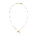 CLASP CHAIN