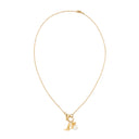 CLASP CHAIN