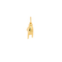 FORTUNE CHARM