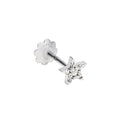 Piercing Stella Silver